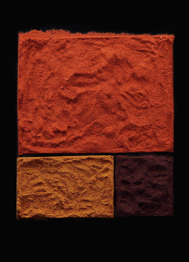 Spices In Graphic Composition Photograph by Shana Novak