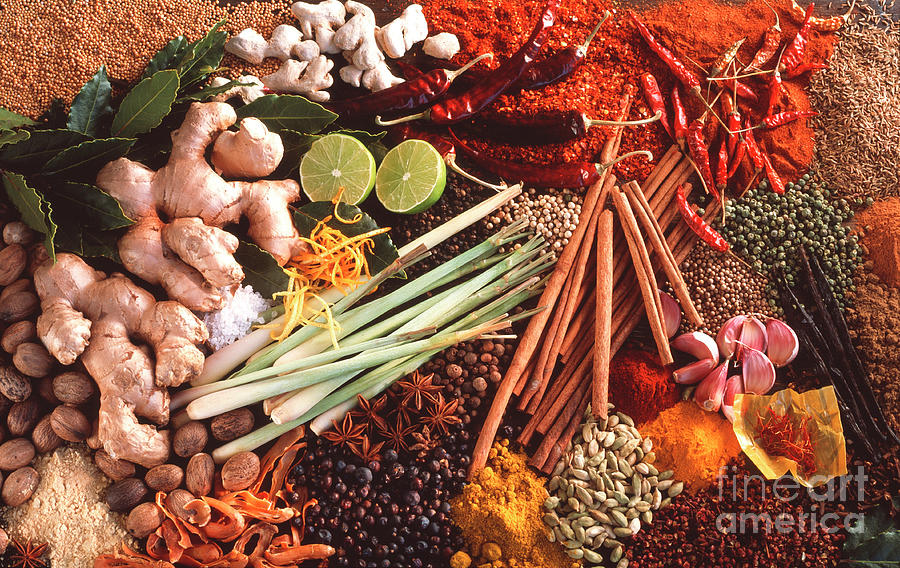 Spices Photograph by Maximilian Stock Ltd/science Photo Library