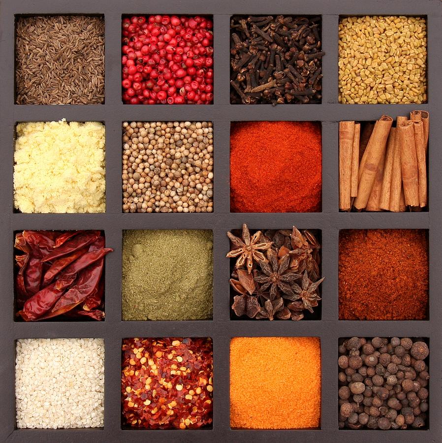Spices - The Variety Of Life Photograph by Karen Chappell