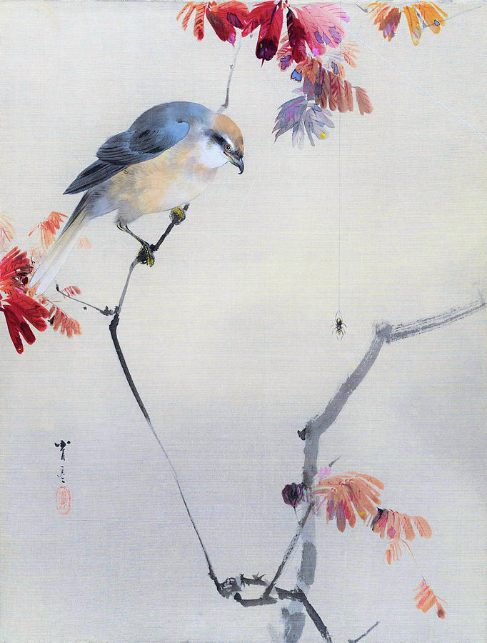 Spider and Bird - Digital Remastered Edition Painting by Watanabe Seitei