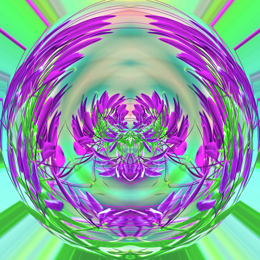 Spider Dance Digital Art by Connie Publicover Spider Dance Digital Art by Connie Publicover