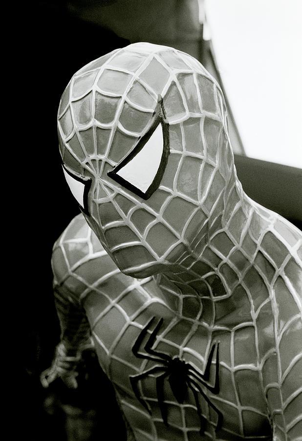Spider-Man Photograph by Shaun Higson