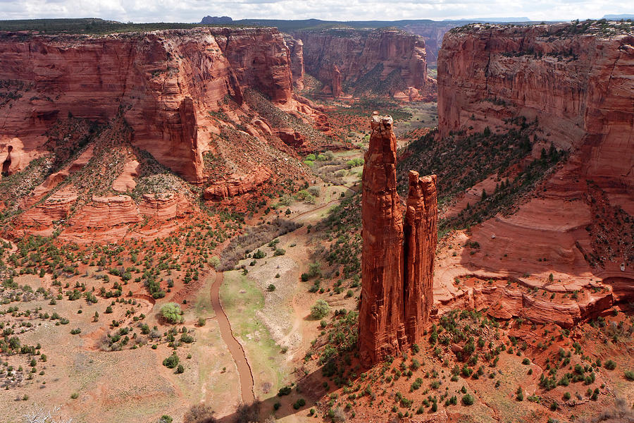 Spider Rock Photograph by Jlr