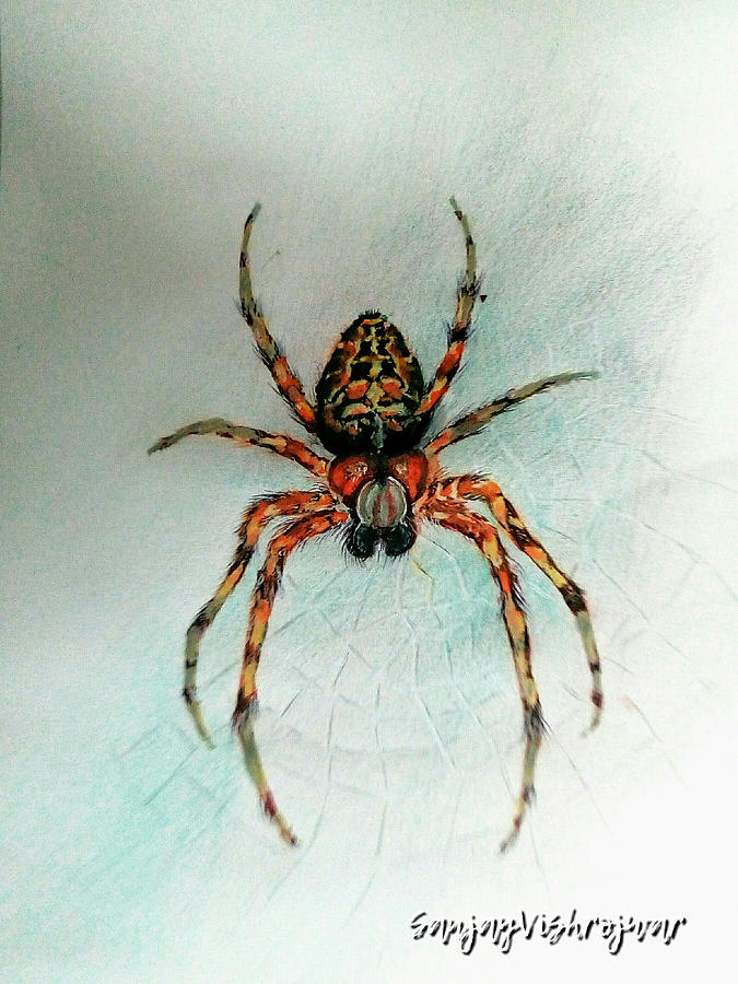 Spider Painting by Sanjay Vishrojwar - Fine Art America