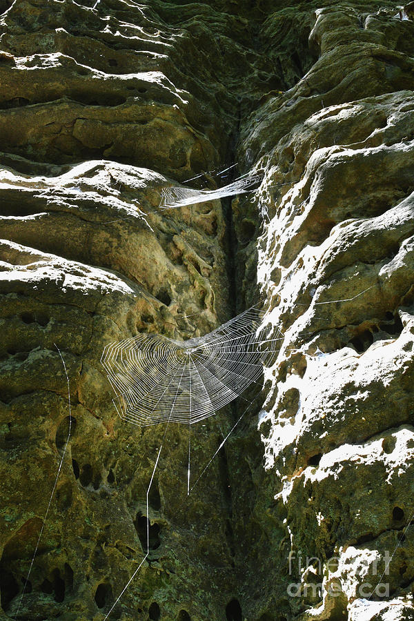 Spider Webs On Rock Wall Photograph by Phil Perkins