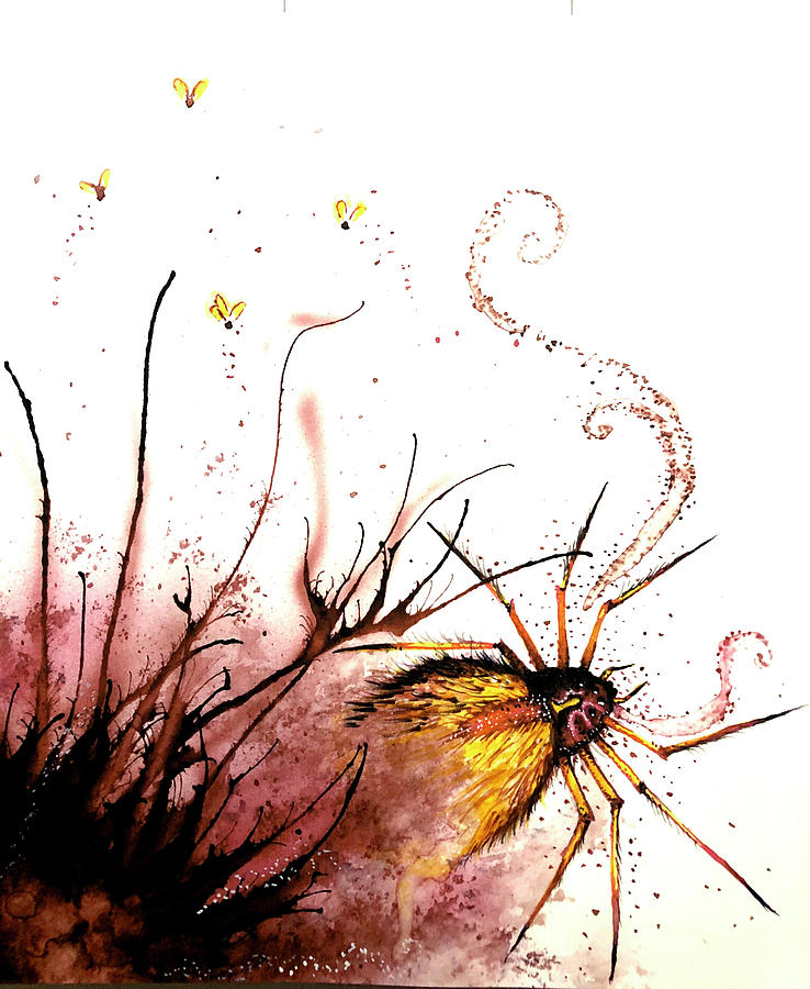 spiderling by Amanda Jane Kohler spiderling by Amanda Jane Kohler