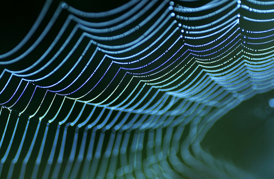 Abstract Photograph - Spiders Web. by Allan Wallberg