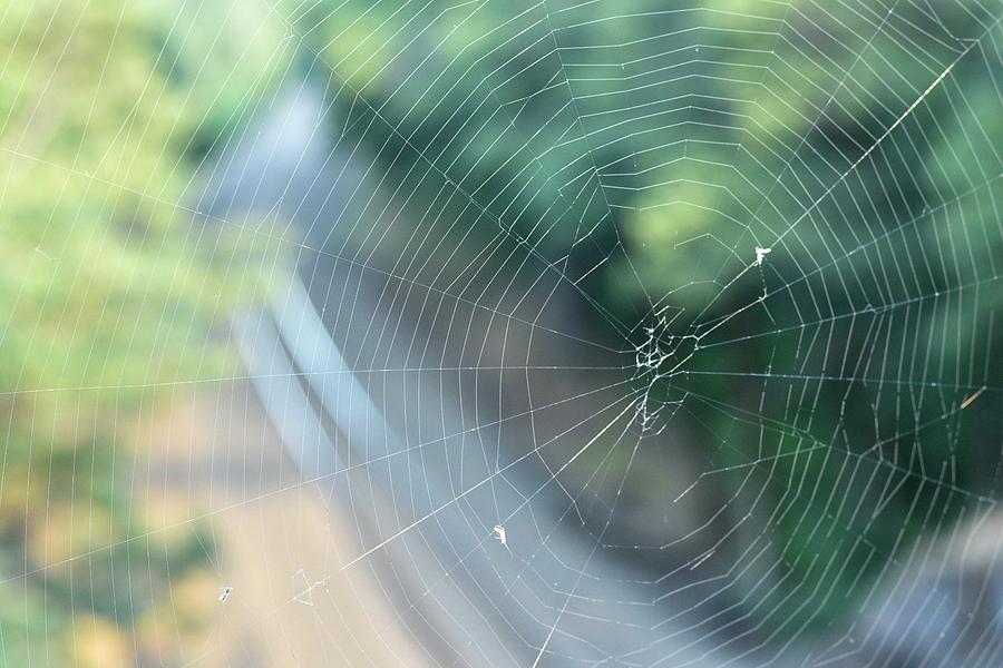 Spiderweb Above The Train Tracks Photograph