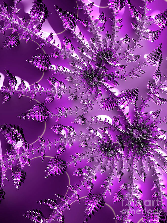 Spiky Purple Flower Digital Art By Elisabeth Lucas Fine Art America