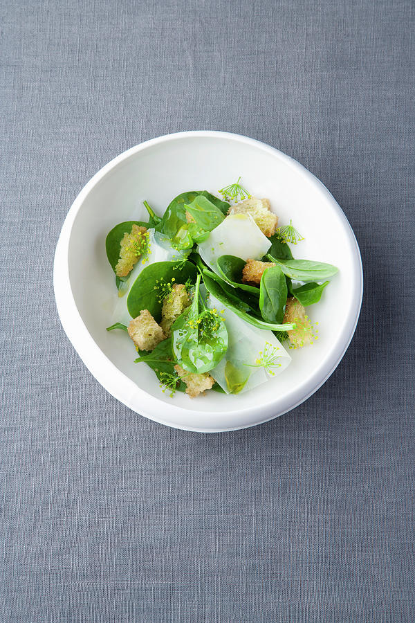 Spinach And Bread Salad With Fennel Oil And Mountain Cheese Photograph by Michael Wissing