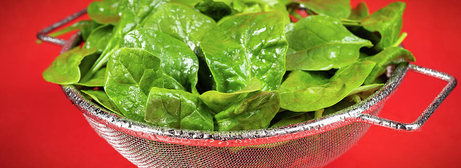 Spinach Colander Panorama Photograph