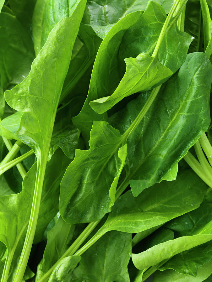 Spinach Leaves, Full Frame, Close-up Digital Art by Diana Miller - Fine ...