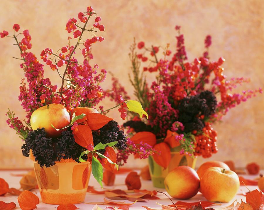 Spindle, Erica, Chinese Lanterns, Apples & Ornamental Cabbage Photograph by Friedrich Strauss