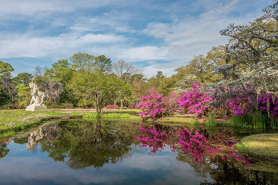 Sping Azaleas by Ree Reid Sping Azaleas by Ree Reid