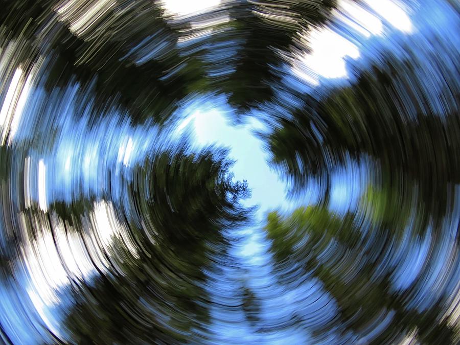 Spinning Forest Photograph by Connor Beekman