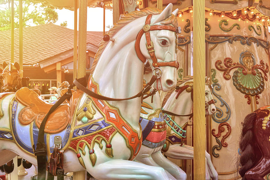 Up Movie Photograph - Spinning Steed by Jamart Photography