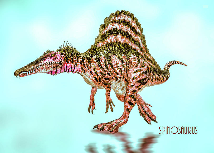 Spinosaurus Digital Art by Bob Orsillo