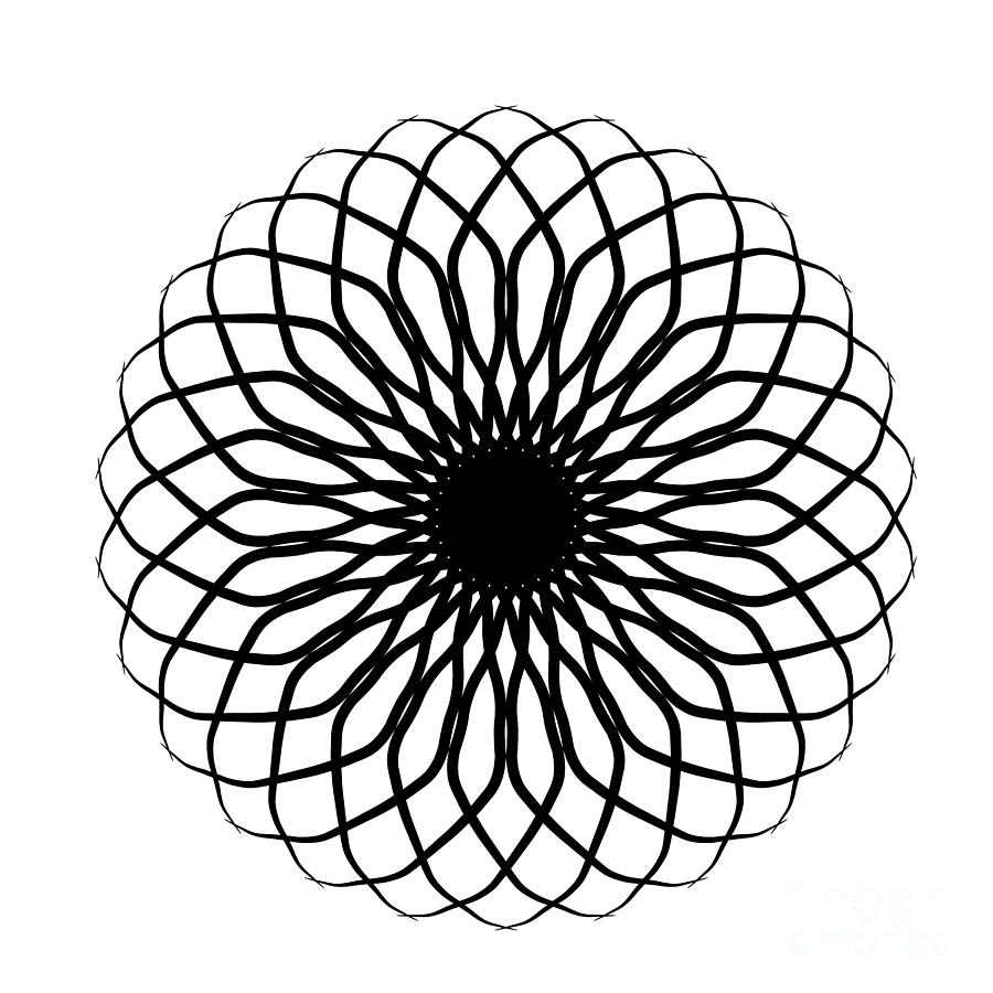 Spiral Black and White Graphic Digital Art by Delynn Addams