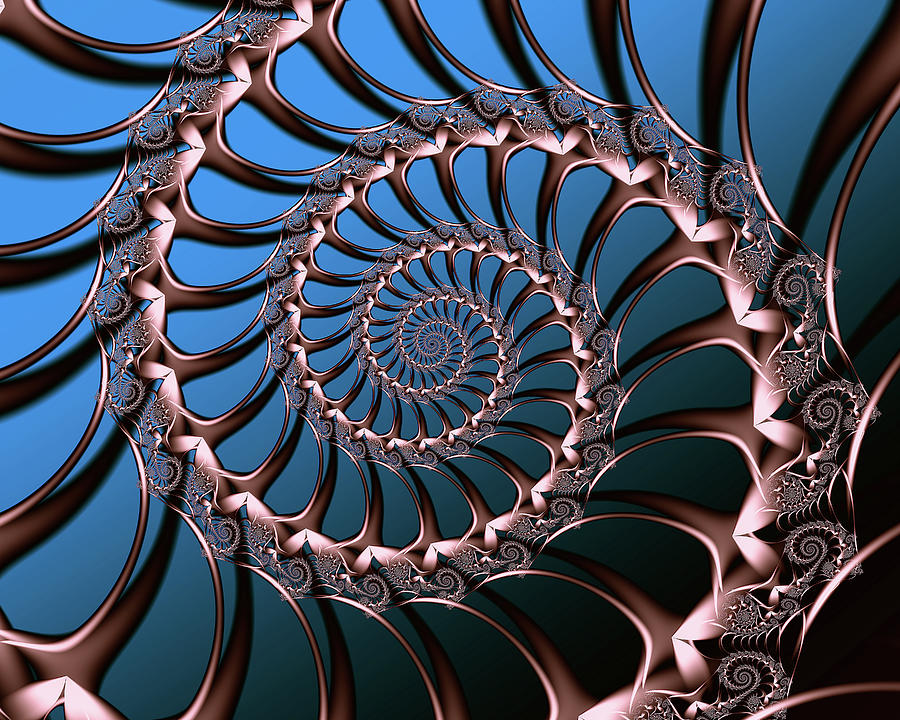 Spiral Fractal 3 Photograph by Lowell Monke