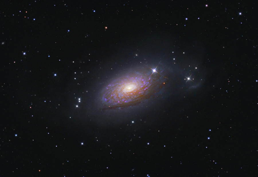Spiral Galaxy Messier 63 Photograph by Lorand Fenyes