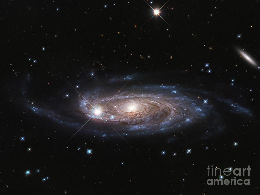 Spiral Galaxy Photograph by Nasa, Esa, And B. Holwerda (university Of Louisville)/science Photo Library