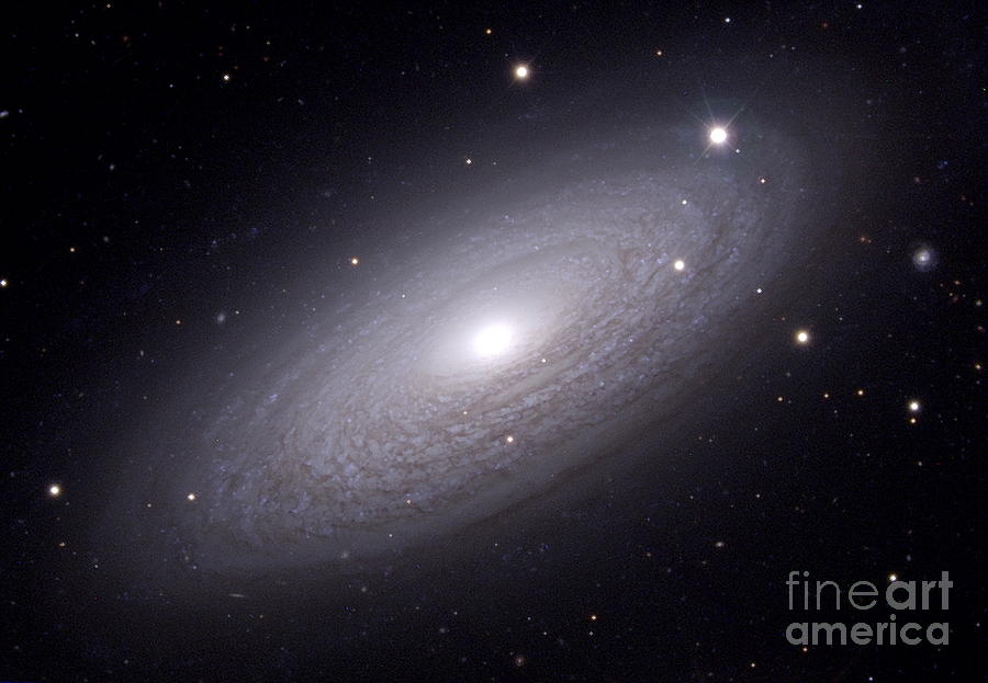 Spiral Galaxy Ngc 2841 Photograph by J-c Cuillandre/canada-france-hawaii Telescope/science Photo Library