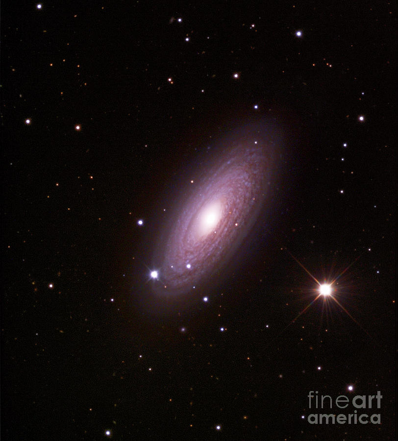 Spiral Galaxy Ngc 2841 Photograph By Robert Gendler And Jim Mistiscience Photo Library Fine Art