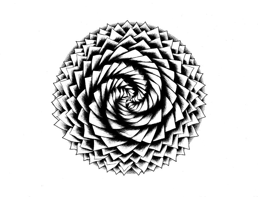 Flower Digital Art - Spiral Shaded Mandala by Nicky Kumar