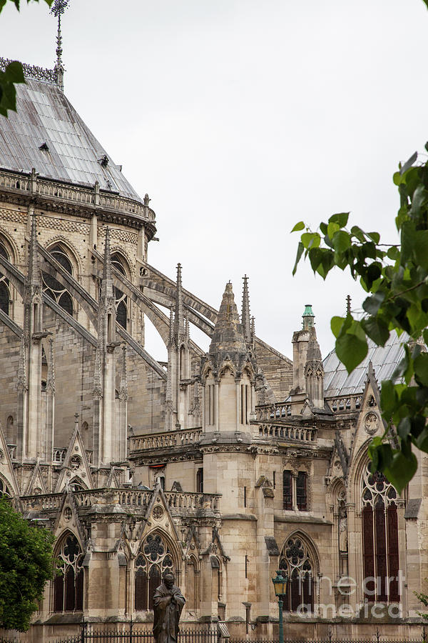 Spires of Notre Dame Photograph by Timothy Johnson