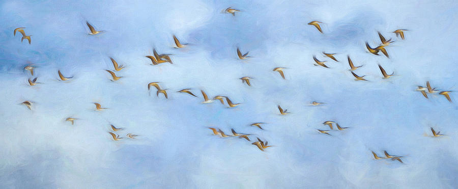 Abstract Photograph - Spirit Bird Migration by Lucie Gagnon