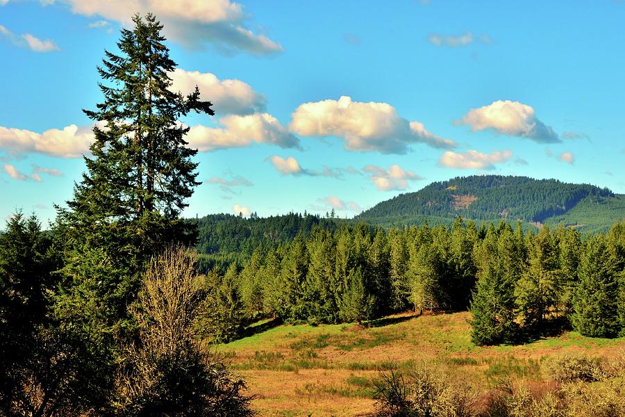 Spirit Mountain - Grand Ronde - Oregon Photograph by Jack Andreasen 