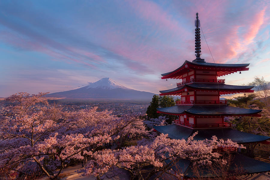 Spirit Of Japan Photograph by Johnny Zhang - Fine Art America