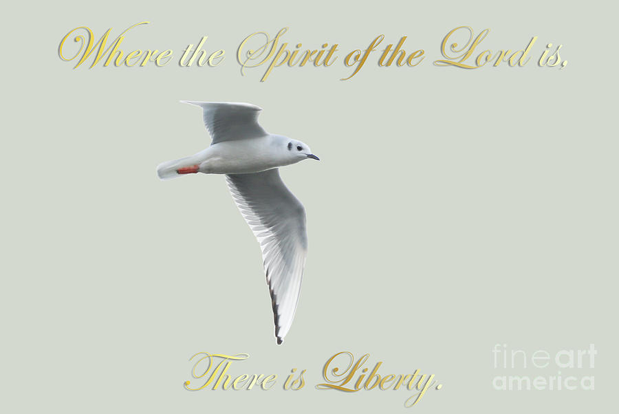 Spirit of the Lord Photograph by Anita Oakley