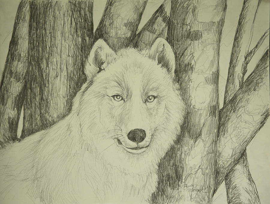 Spirit Wolf Drawing by Nancy Moran - Pixels
