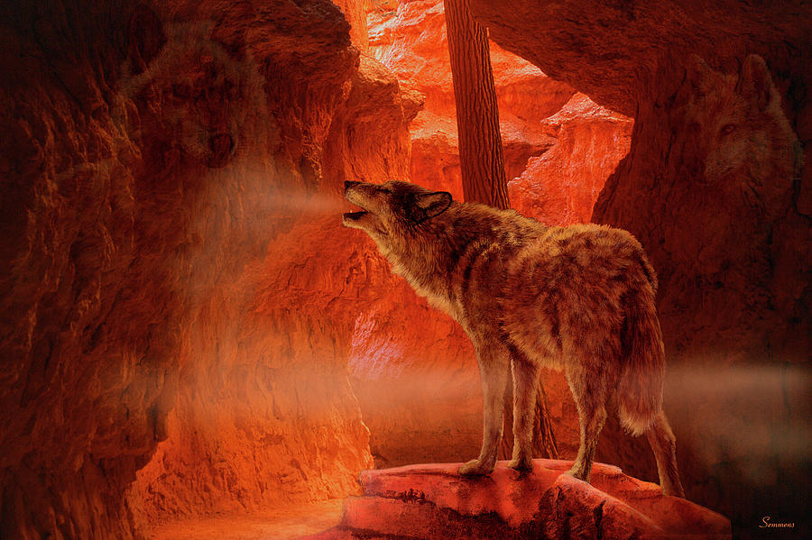 Howling Wolf Photograph - Spirits Of Mist Canyon by Gordon Semmens