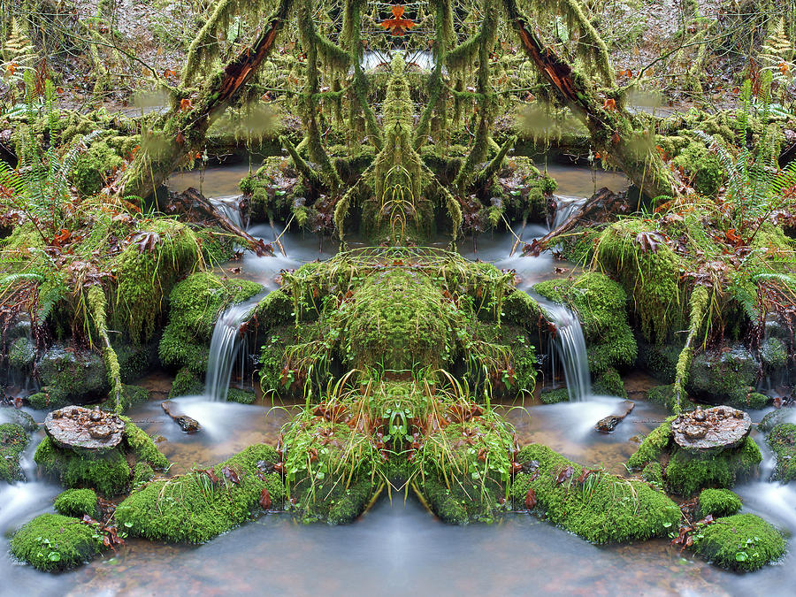 Spirits of the Creek #9 by Ben Upham III Spirits of the Creek #9 by Ben Upham III
