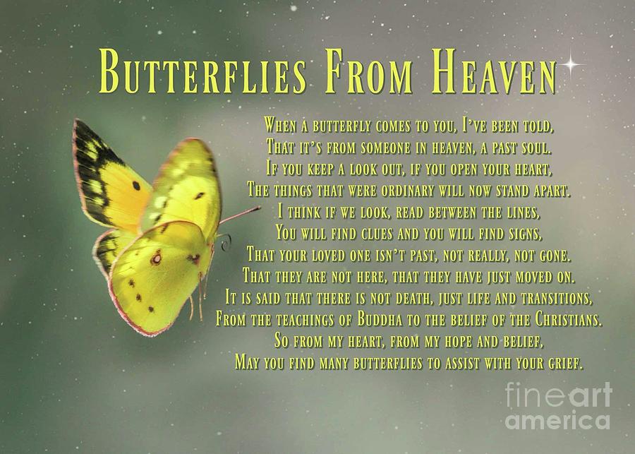 Spiritual Butterfly Sympathy Card with Poem  Photograph by Stephanie Laird