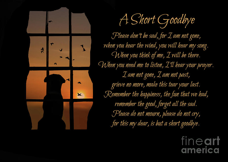 Spiritual Memorial Tribute Dog Sympathy Card  Photograph by Stephanie Laird