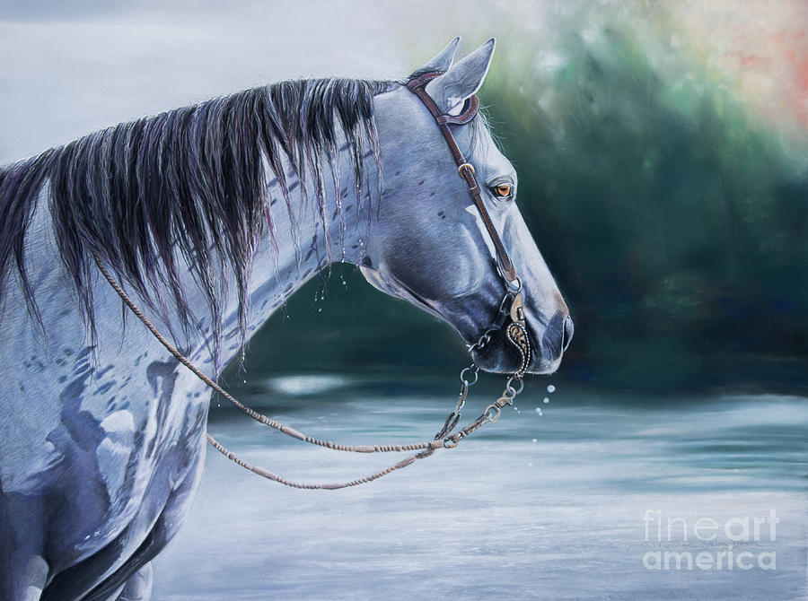 Horse Pastel - Splash of Color  by Joni Beinborn
