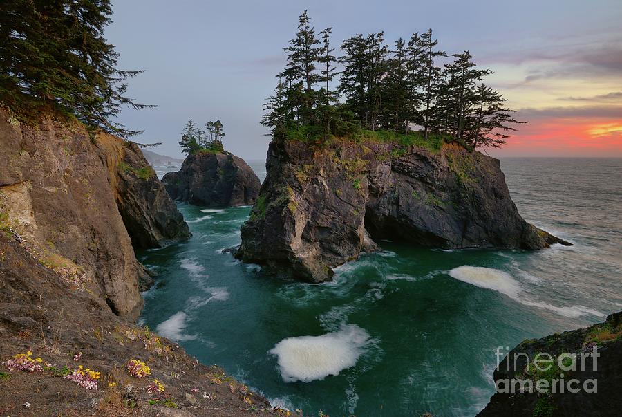 Rocky Coastline and Sea Stacks in Oregon at Sunset Photograph by Tom Schwabel
