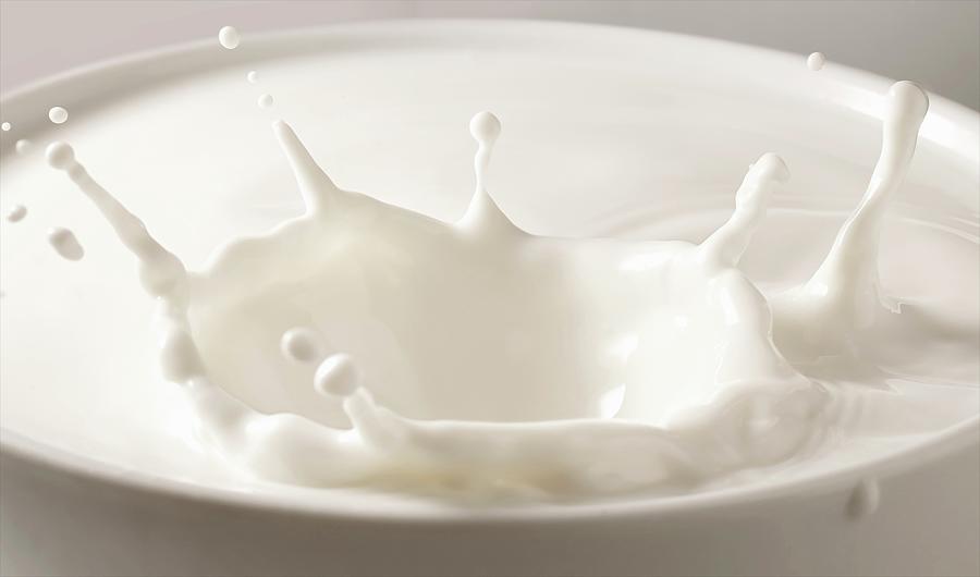 Splashing Milk Photograph by Luzzitelli Danieli & Associati S.a.s.