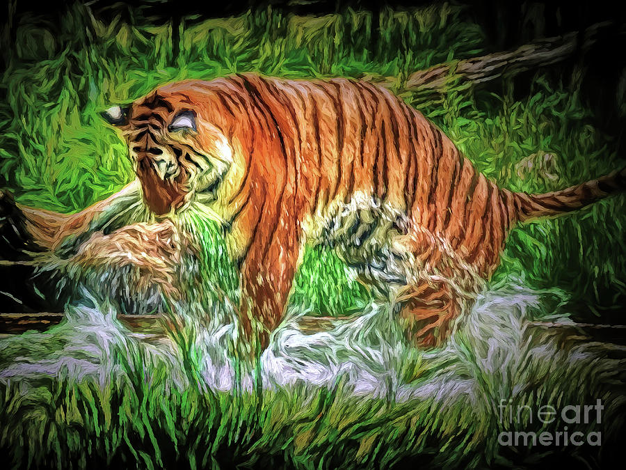 Splashing out by Leigh Kemp Splashing out by Leigh Kemp