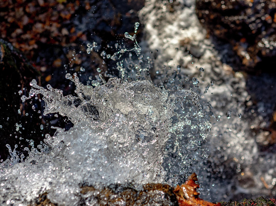 Abstract Photograph - Splashing Water by Scott Lyons