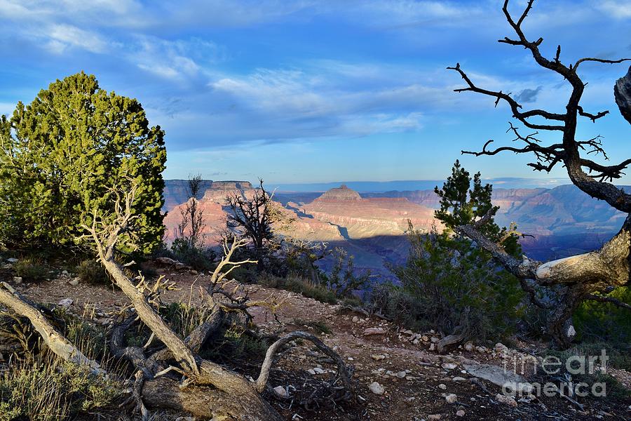 Splendor At Shoshone Point Photograph by Janet Marie