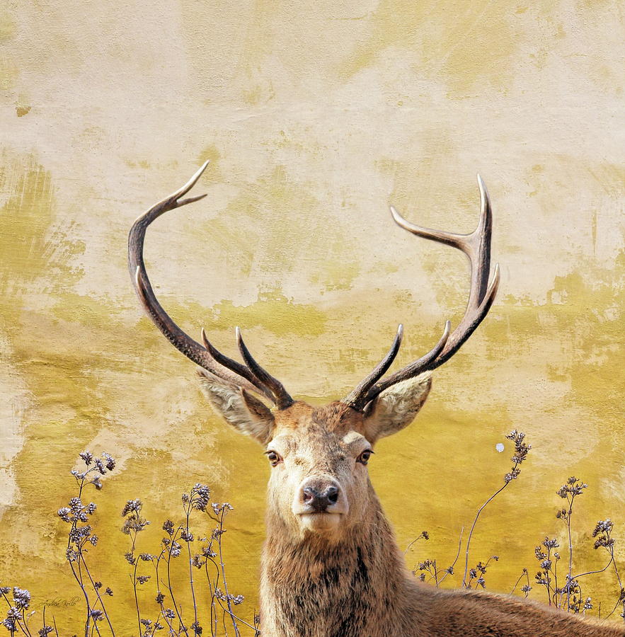 Stag Photograph - Splendor in the Flowers by Andrea Kollo