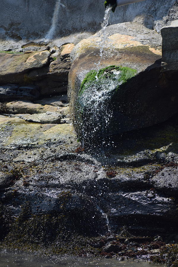 Splish Splash Marina Drain Photograph by Debra Grace Addison