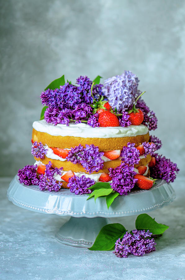 Sponge Cake With Cream And Strawberries, Decorated With Lilac On A Gray Stand Photograph by Gorobina