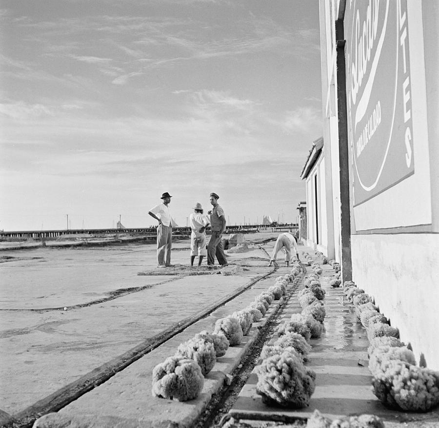 Sponge Harvesting In Cuba Photograph by Michael Ochs Archives