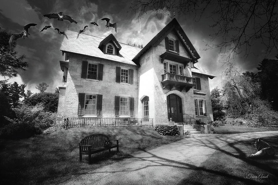 Spooky Mansion in Black and White Photograph by Trina Ansel