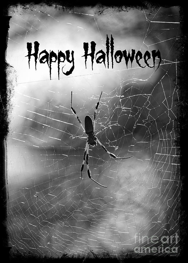 Spooky Spider Halloween Photograph